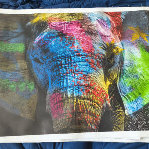 elephant painting (copy)