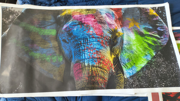 elephant painting (copy)
