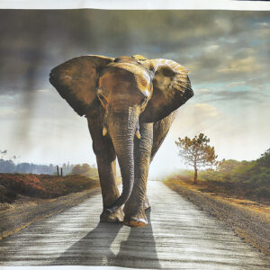 elephant painting